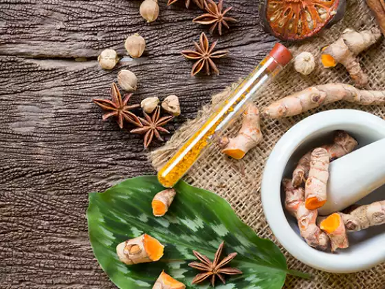 Ayurveda Hidup untuk Musim Semi