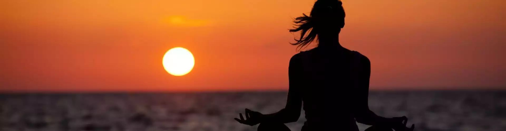 ஒளியின் பரம்பரைக்கு ஒரு அறிமுகம் - Online Class by Kai  Shanti