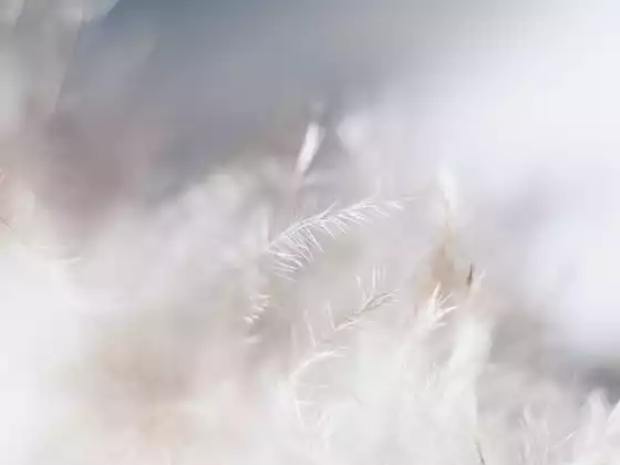 更高意识脉轮的远程治疗 - 多语言