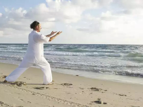 Qigong Diário de Baduanjin