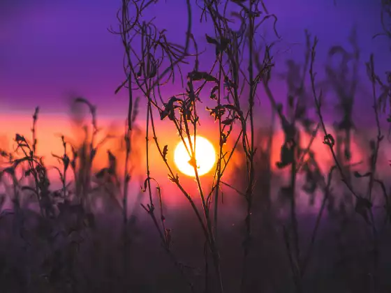 Energy Healing for Inner Peace, Balance, and Renewal