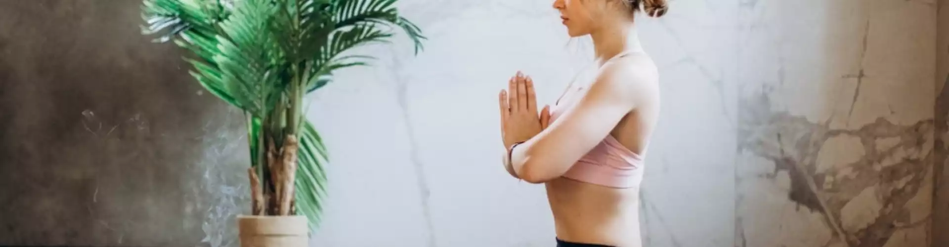 Bundle: पुनर्स्थापनात्मक योग बंडल - Online Course by Learn It Live