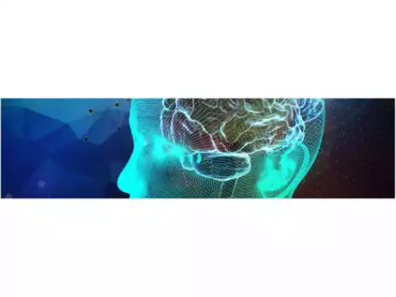 掌握治愈心靈