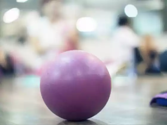 Pilates sur le ballon de stabilité