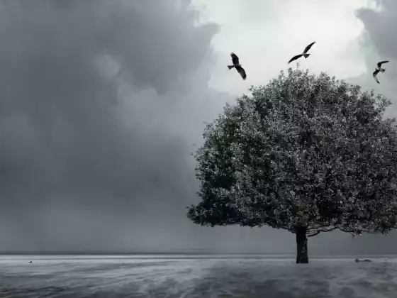 আমি যদি এক বছর বাঁচতাম