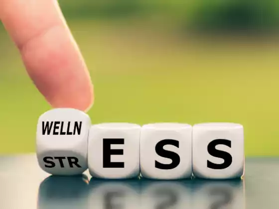 Stresi Azaltın ve Başarılı Olun