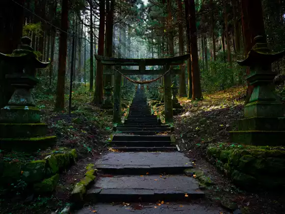週日精神提升