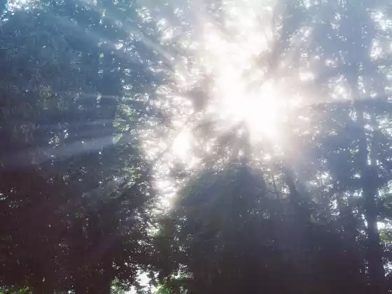 Créer de l'espace pour votre intuition
