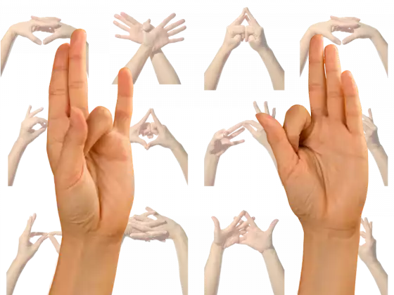 Mudra Mistik: Siri Bengkel Reiki/Yoga Fusion Bulanan