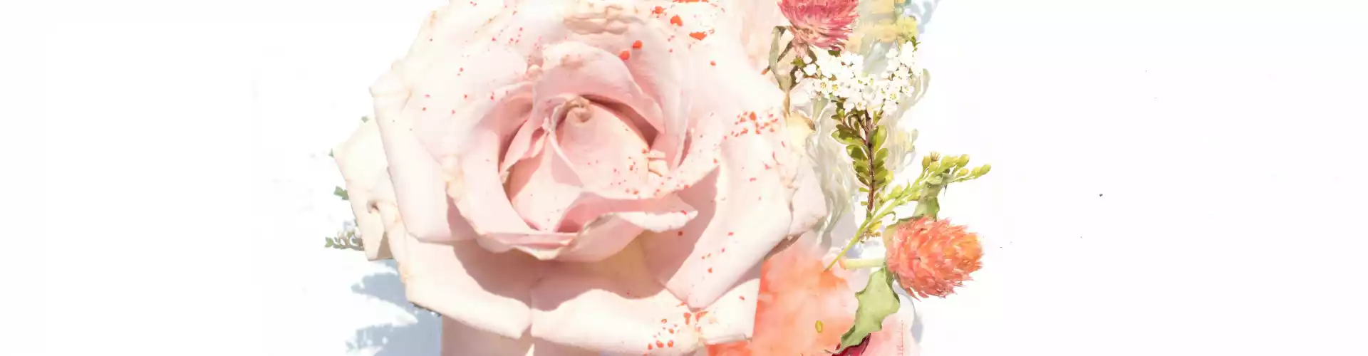 Cura Reiki Remota por 33 Minutos - Online Class by Jamie Butler