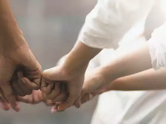 Các phương pháp hay nhất để cộng tác thành công