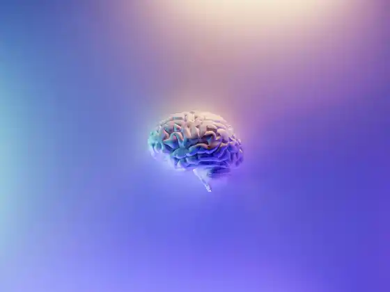 大脑健康和锻炼——锻炼如何影响大脑健康和记忆力