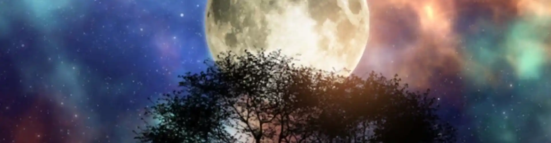 Dolunay Çakra Meditasyonu - Online Class by Cassaundra Paolini