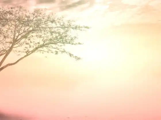 走進靈魂：身心靈研討會