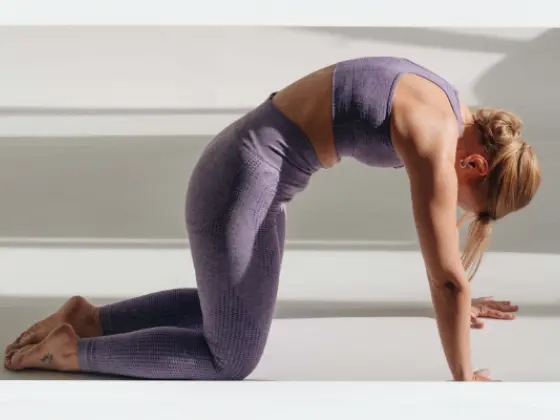 Yoga zur Rückenpflege