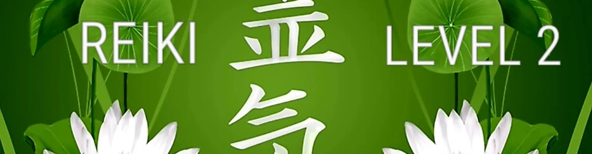 Reiki Livello Due - Online Class by Cassaundra Paolini
