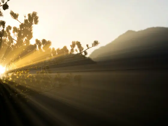 आश्चर्य - यीशु के साथ एक ट्रान्स-चैनलिंग