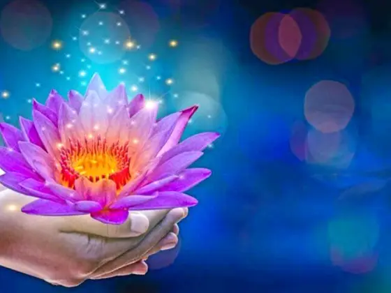 Weekend di Master Reiki di 3° livello