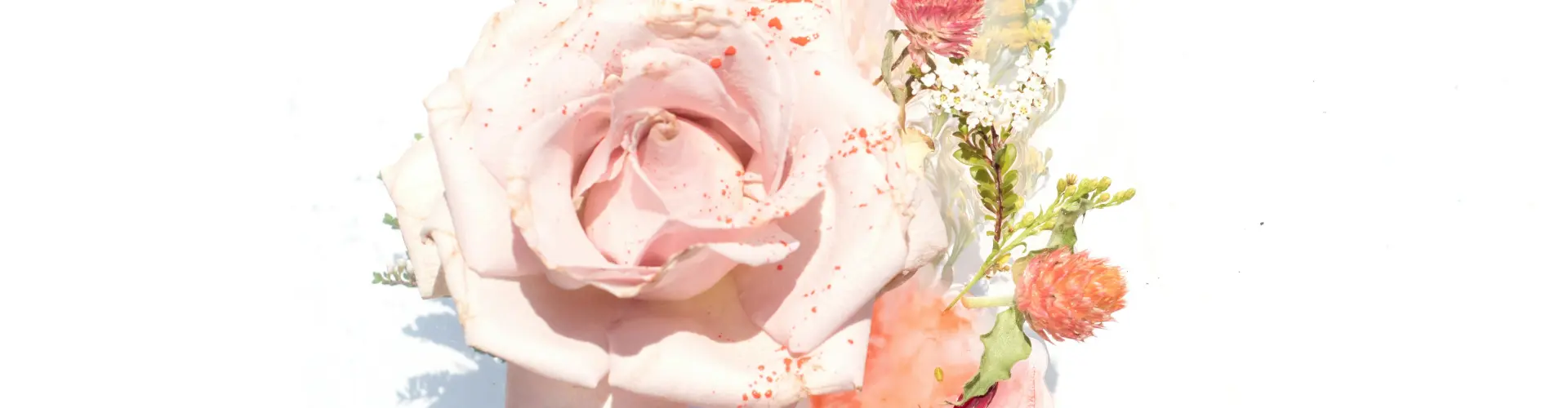 Remote Reiki Healing for 33 Minutes - Online Class by Jamie Butler