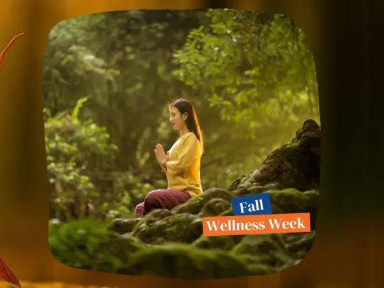 Cái ôm mùa thu: Thiền Reiki vào ngày thu phân