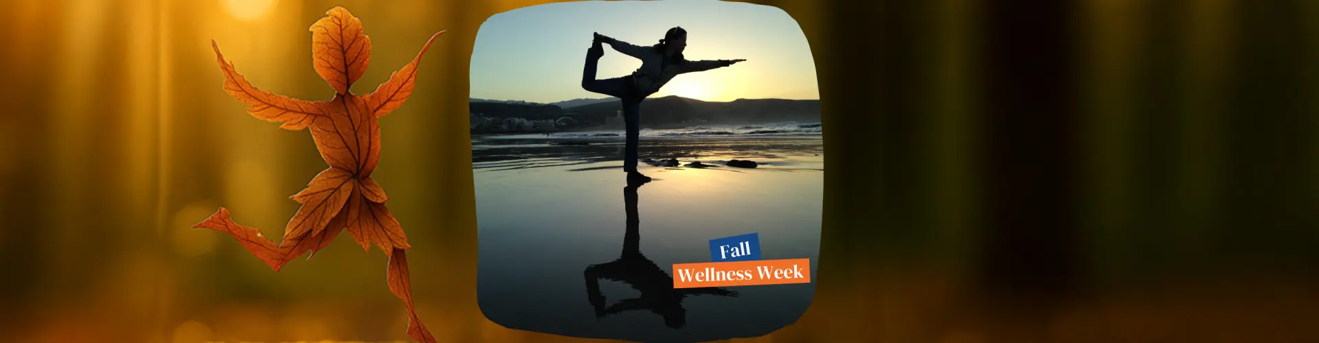 Huesos más fuertes, mejor equilibrio - Online Class by Jeff Bailey
