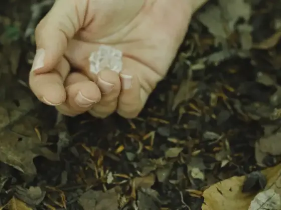 远程灵气治疗 - 秋分和日食季节