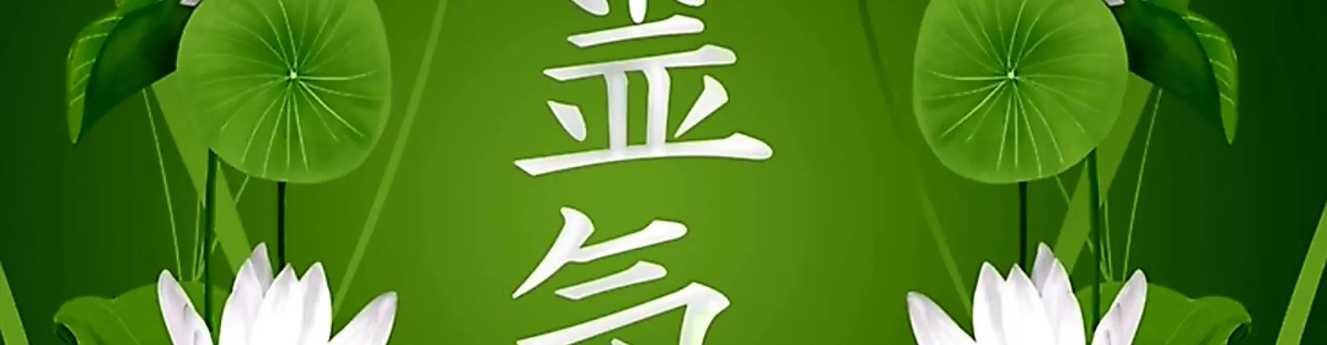 Reiki Level 1 Shoden - Online Class by Cassaundra Paolini